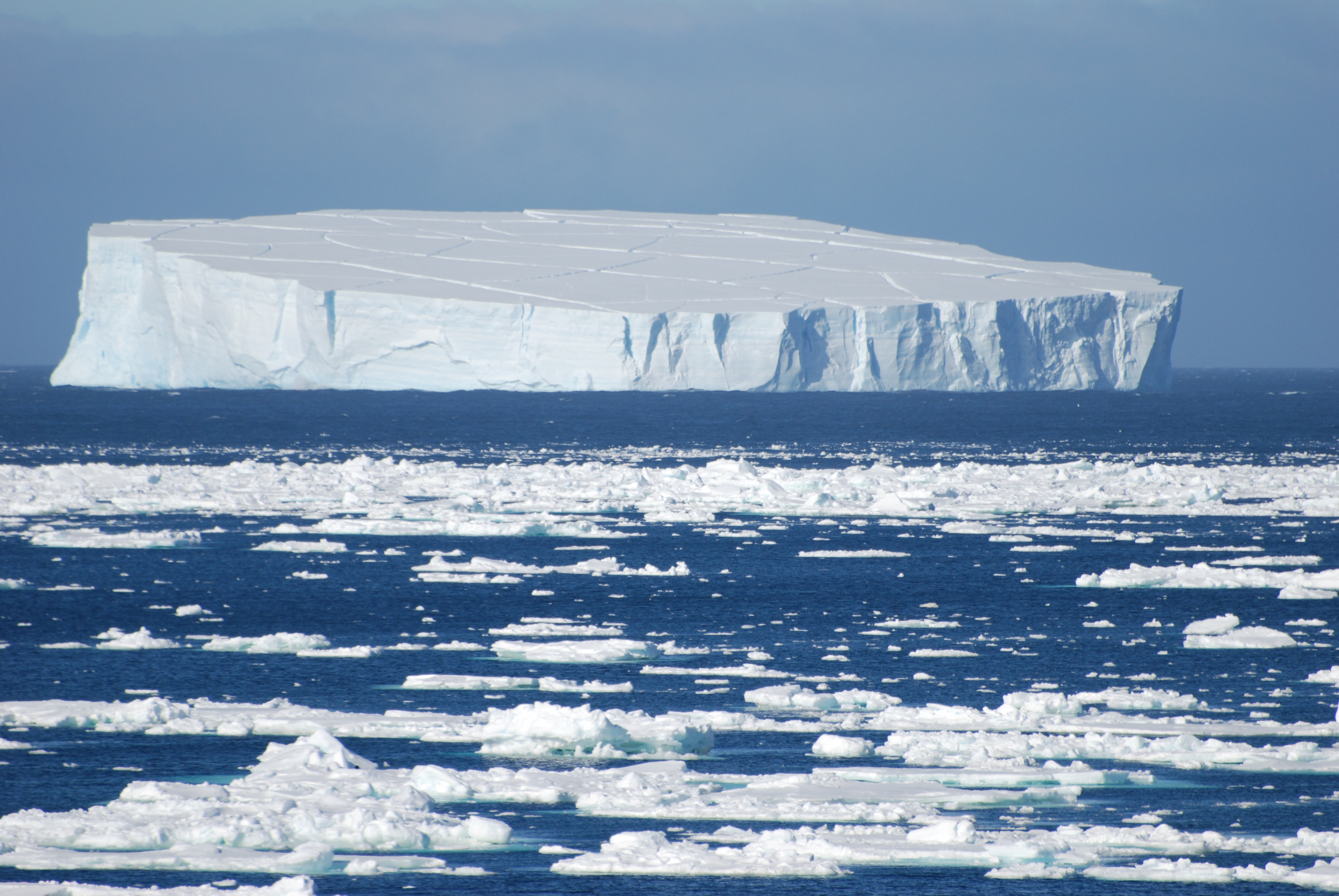 Antarctic iceberg and sea ice, one of the settings central to BEATS research